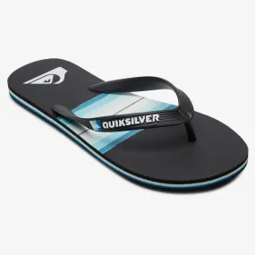 Quiksilver Molokai Resin Tint Flip Flops